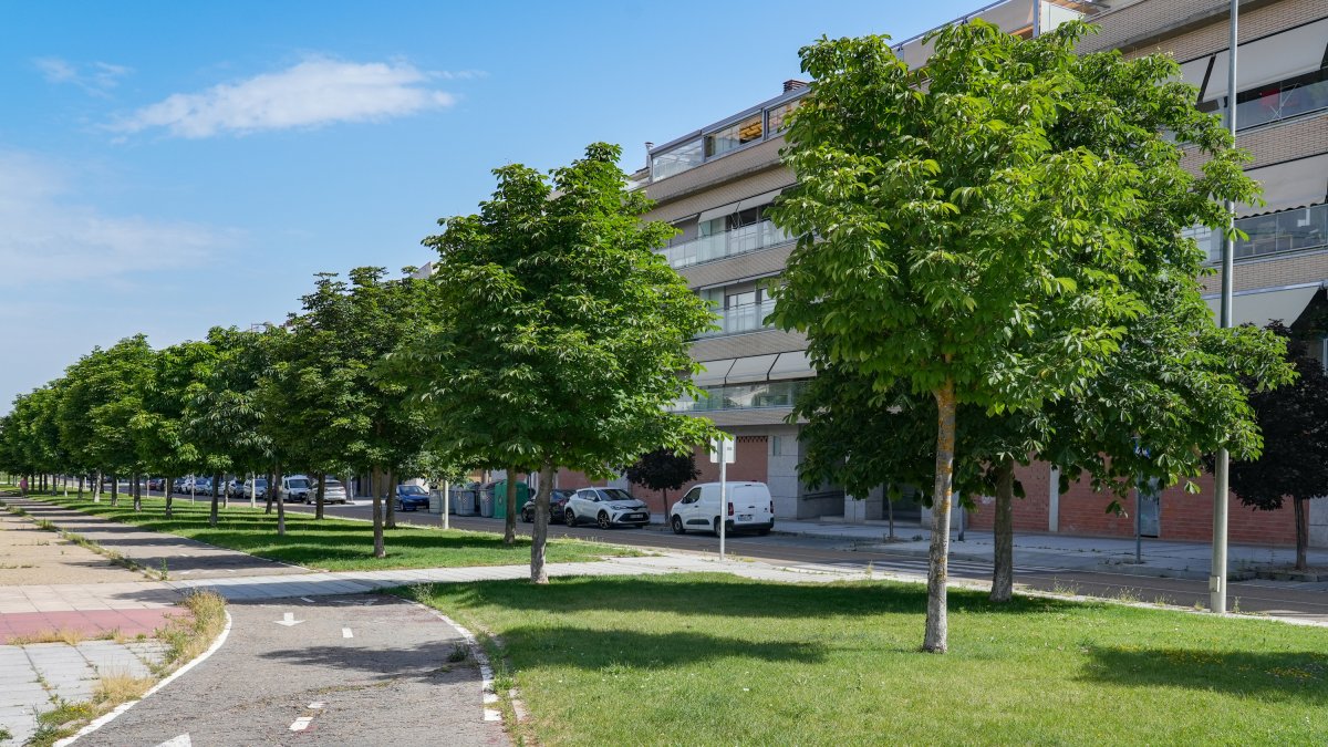 Calle La Alcaparra