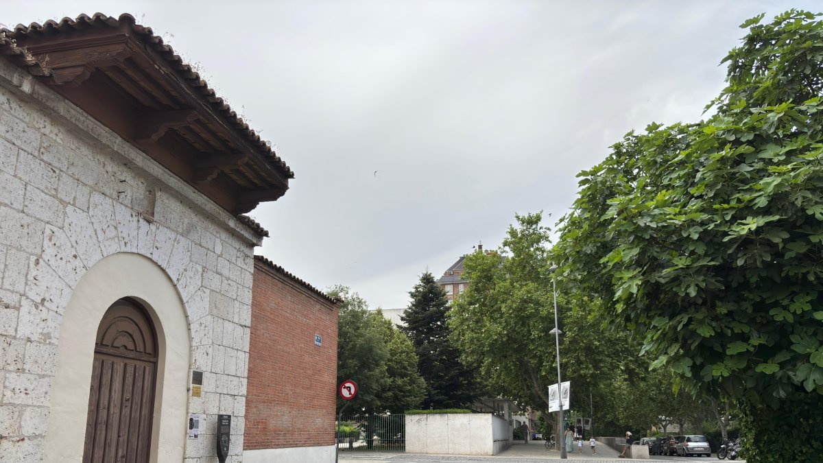 Nueva Plaza Teófanes Egido.