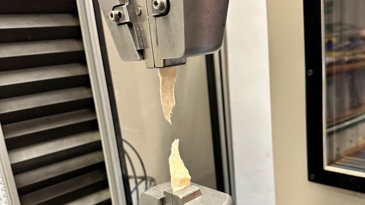 Ensayos de tensión en pieles de animales para valorizar en nuevos usos que encajan en la estrategia europea de la Granja a la Mesa.