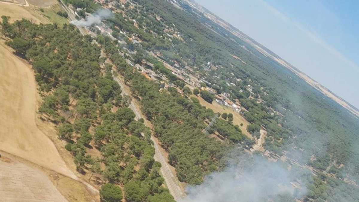 Incendios declarados junto a la vía de alta velocidad en Viana de Cega.