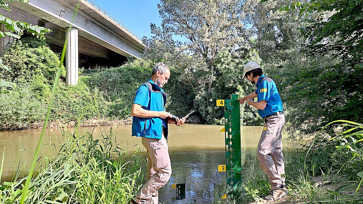 Dos agentes de la Guardería Fluvial controlan los niveles en uno de los cauces de la cuenca del Duero.