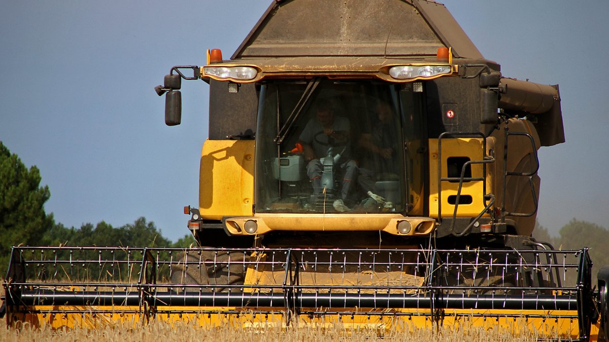 Una cosechadora atraviesa un campo de cereal en La Cepeda (León)