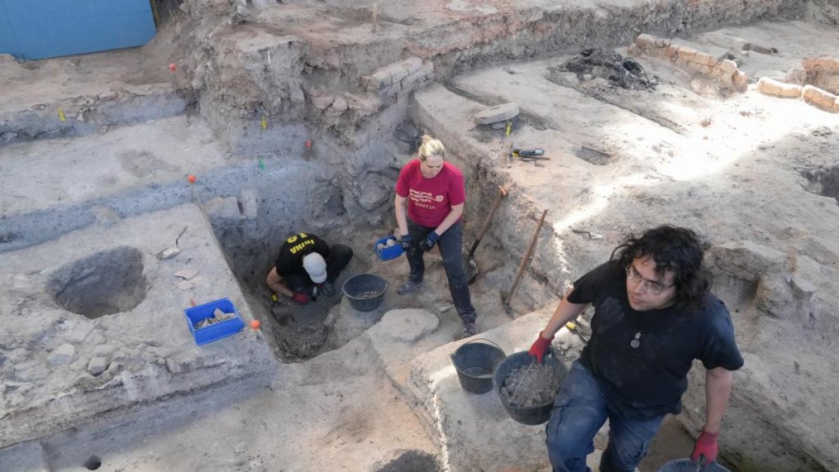 Voluntarios trabajando en las excavaciones arqueológicas de Pintia en Valladolid.