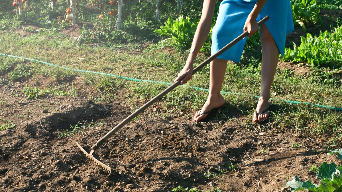 Una mujer trabaja el campo.