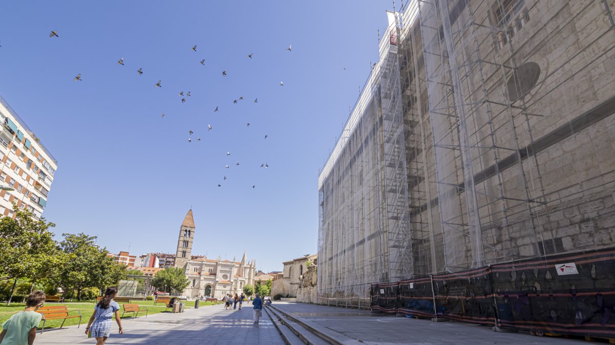 Andamios en la fachada lateral de la Catedral