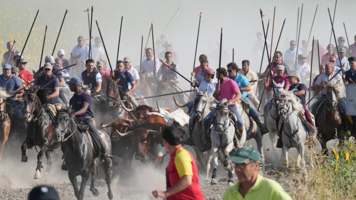Encierro por el campo en Íscar