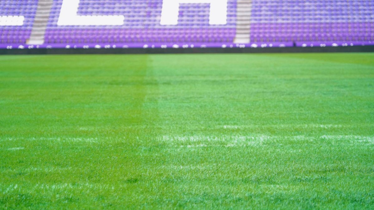 Imagen del miércoles del césped del estadio Zorrilla, con diferentes tonos y corros vacíos.