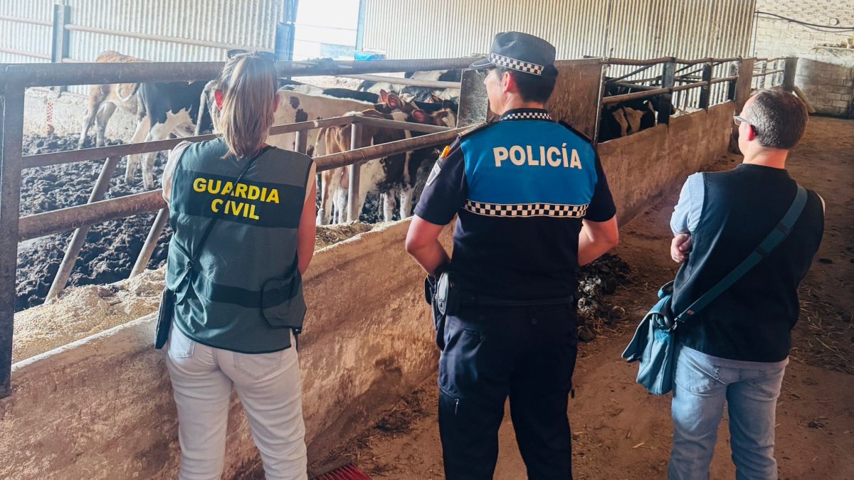 Momento de la inspección de la explotación ganadera investigada.