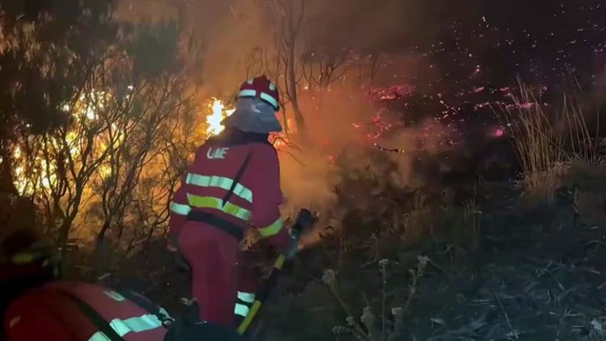 SUBDELEGACIÓN DE LEÓN