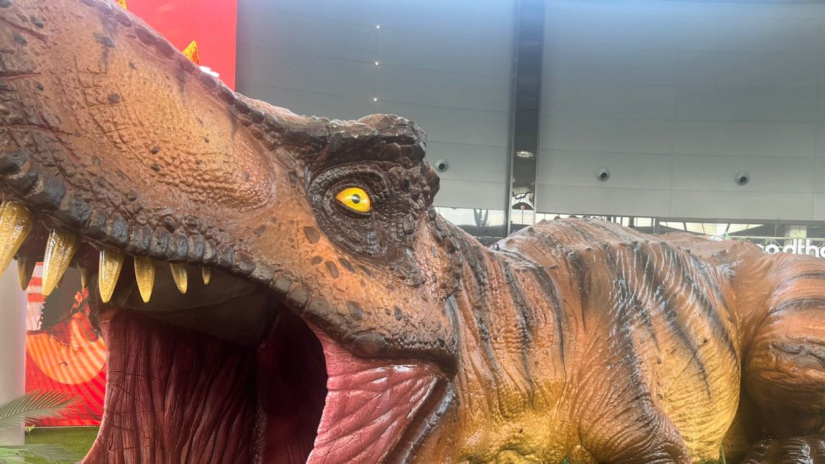 El T-Rex de Miguel Lobato que llegará a Vallsur