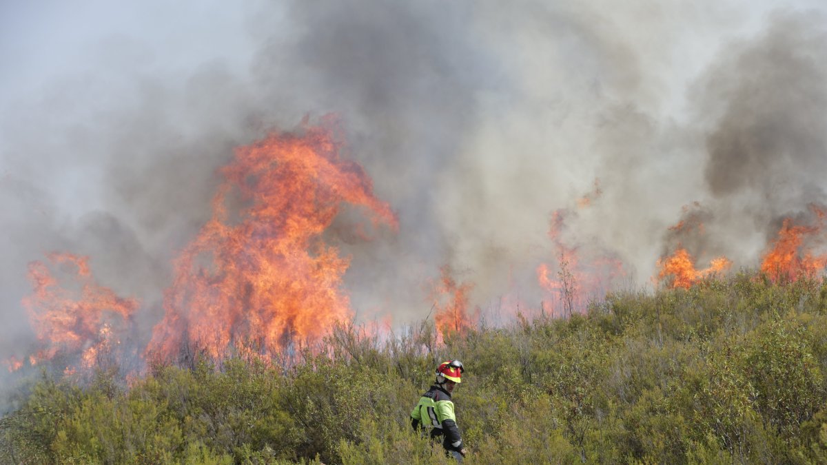 Incendio en Puercas, en Zamora.