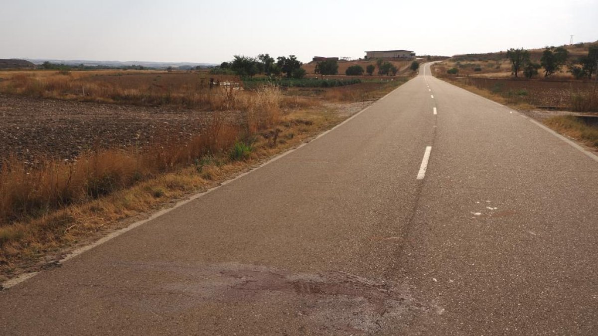 Carretera VP-7000 a la altura de San Román de Hornija, donde se produjo el atropello.