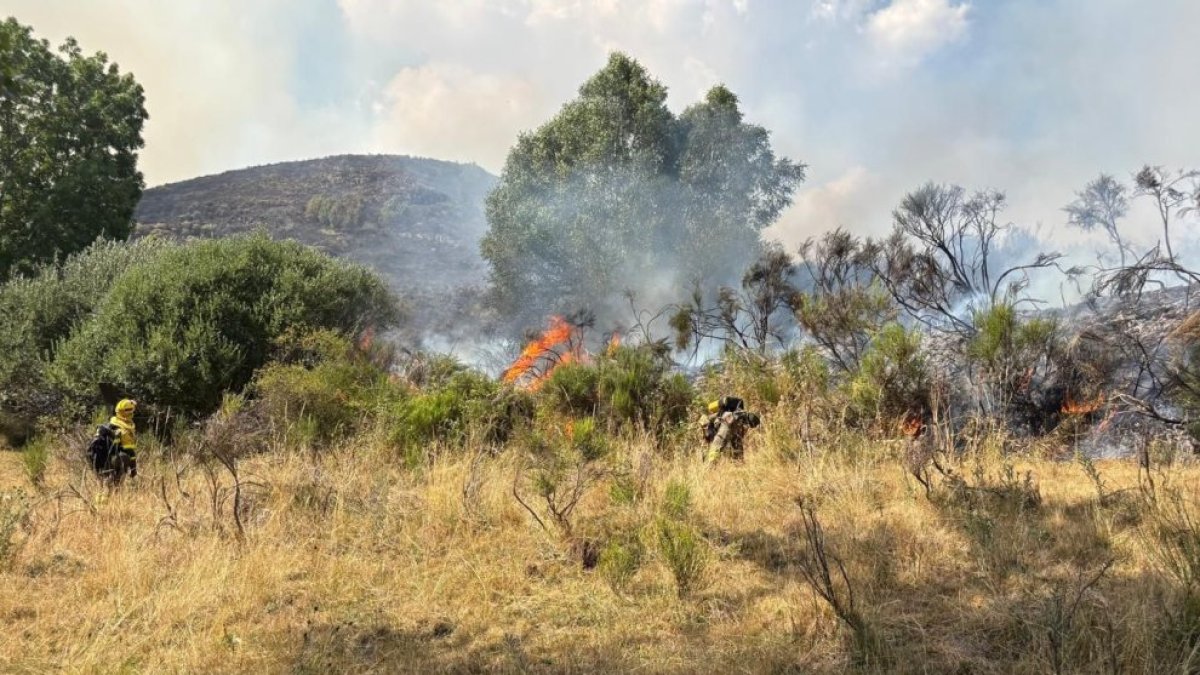 Incendio forestal de Fasgar, León.
