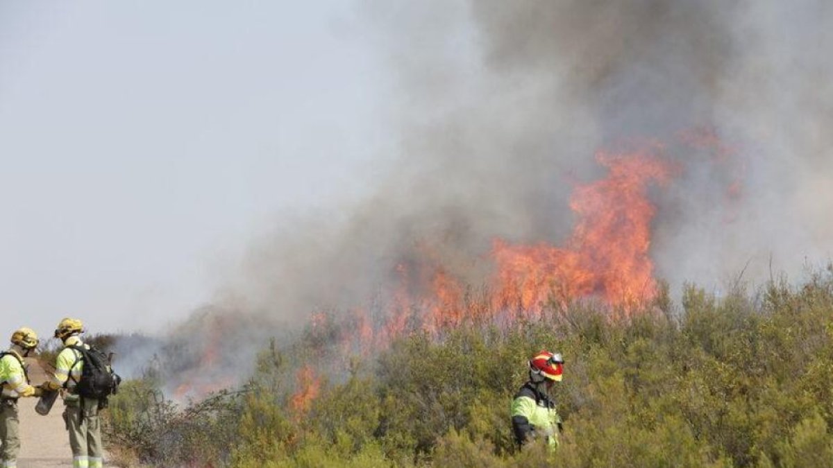 Incendio de Puercas en Zamora