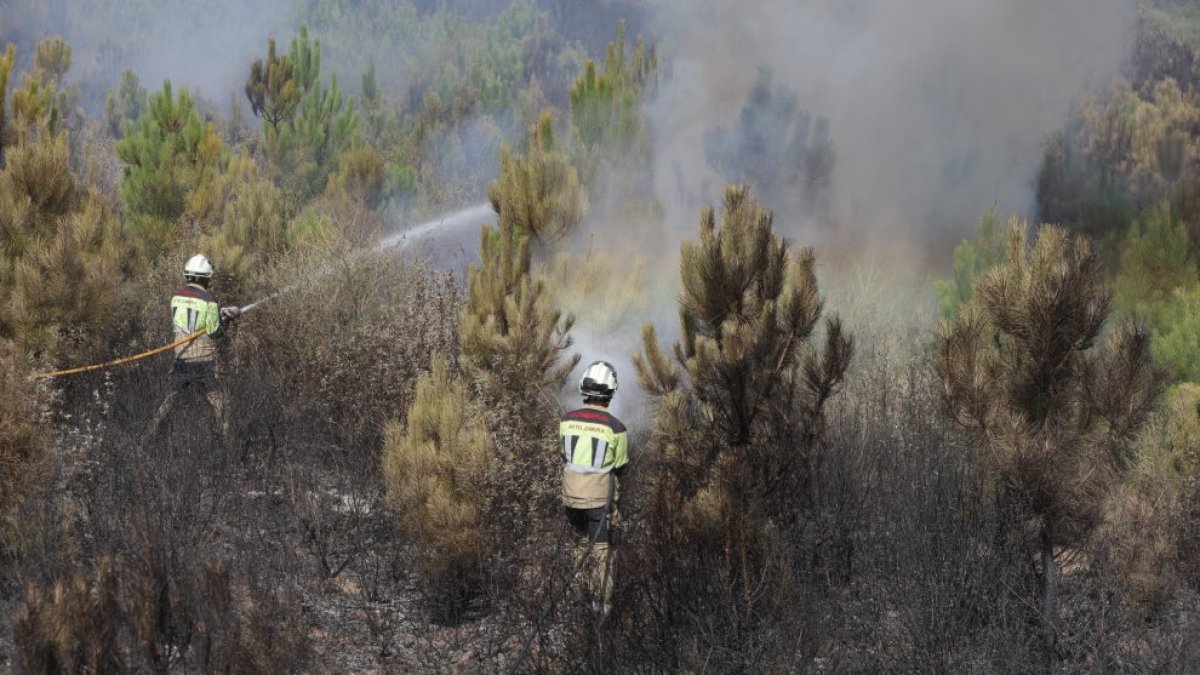 Incendio en Abejera y Ríofrio de Aliste