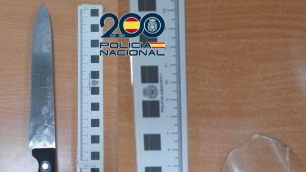 Las armas utilizadas por los detenidos.