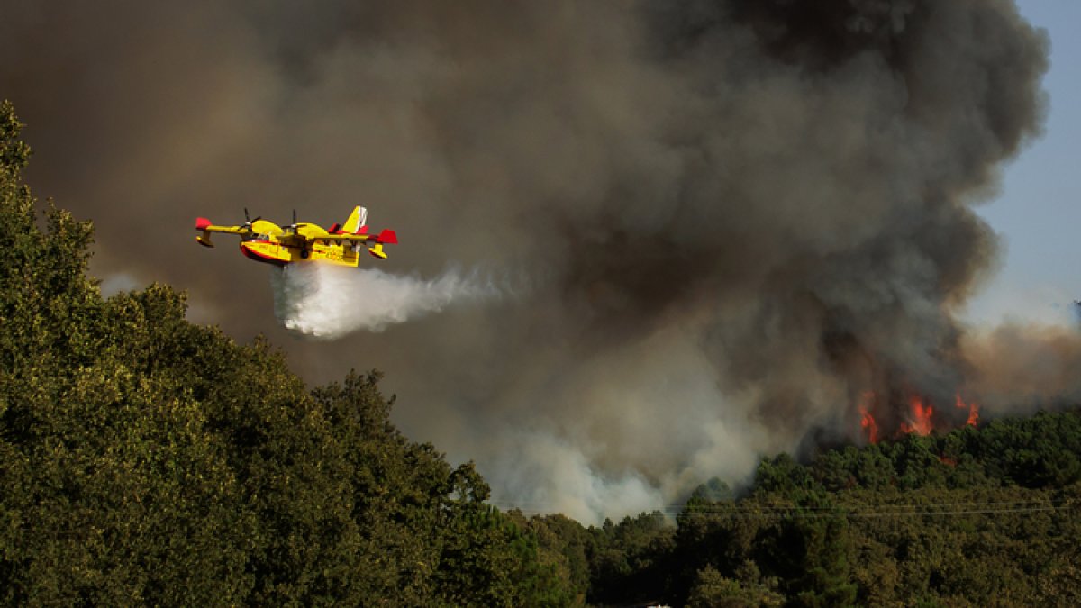 Incendio en El Payo (Salamanca).