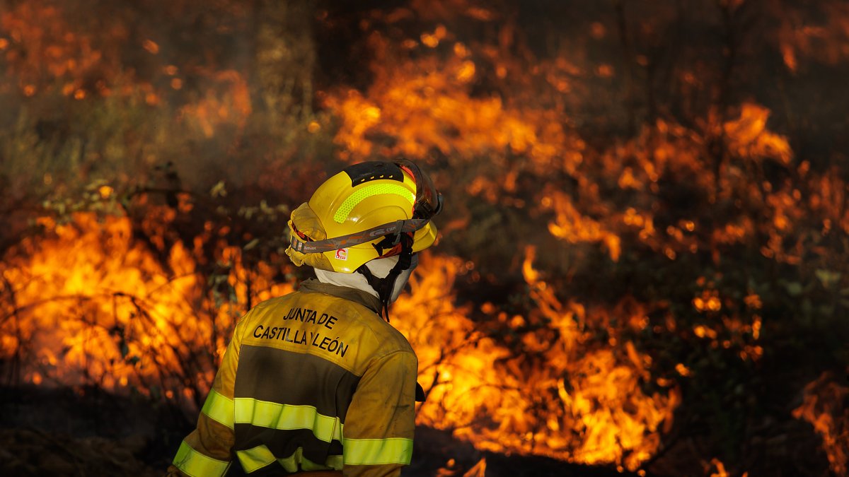 Incendio forestal en El Payo (Salamanca) en nivel 2.