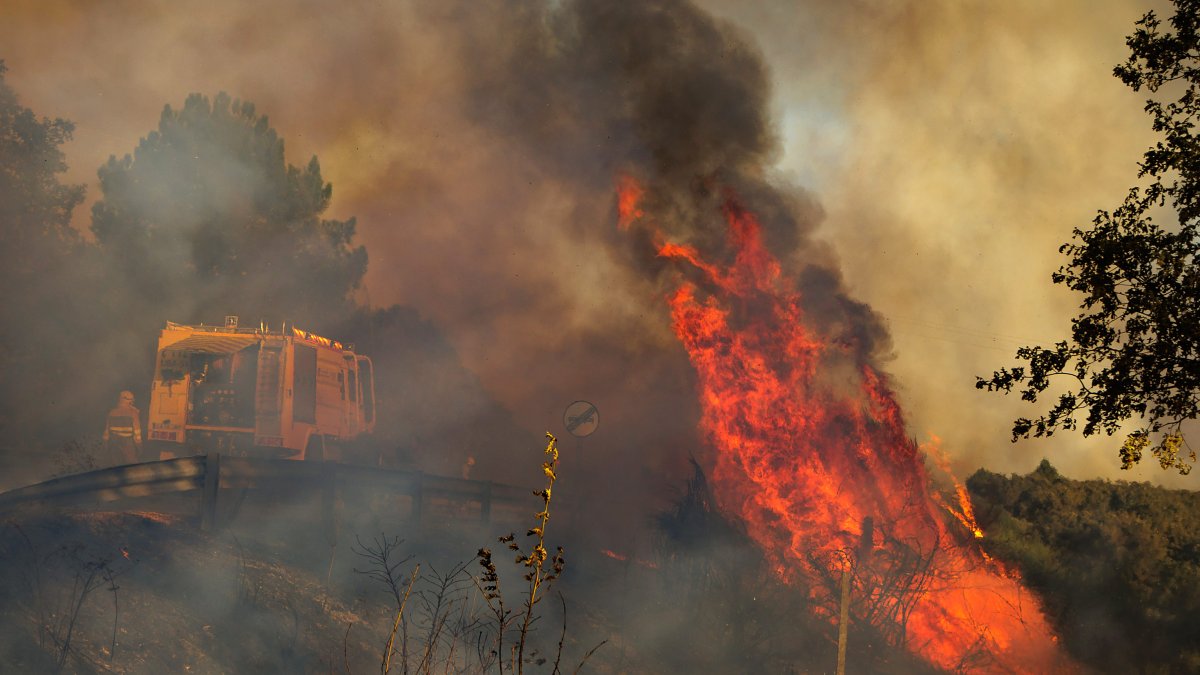 Incendio forestal en El Payo (Salamanca) en nivel 2.
