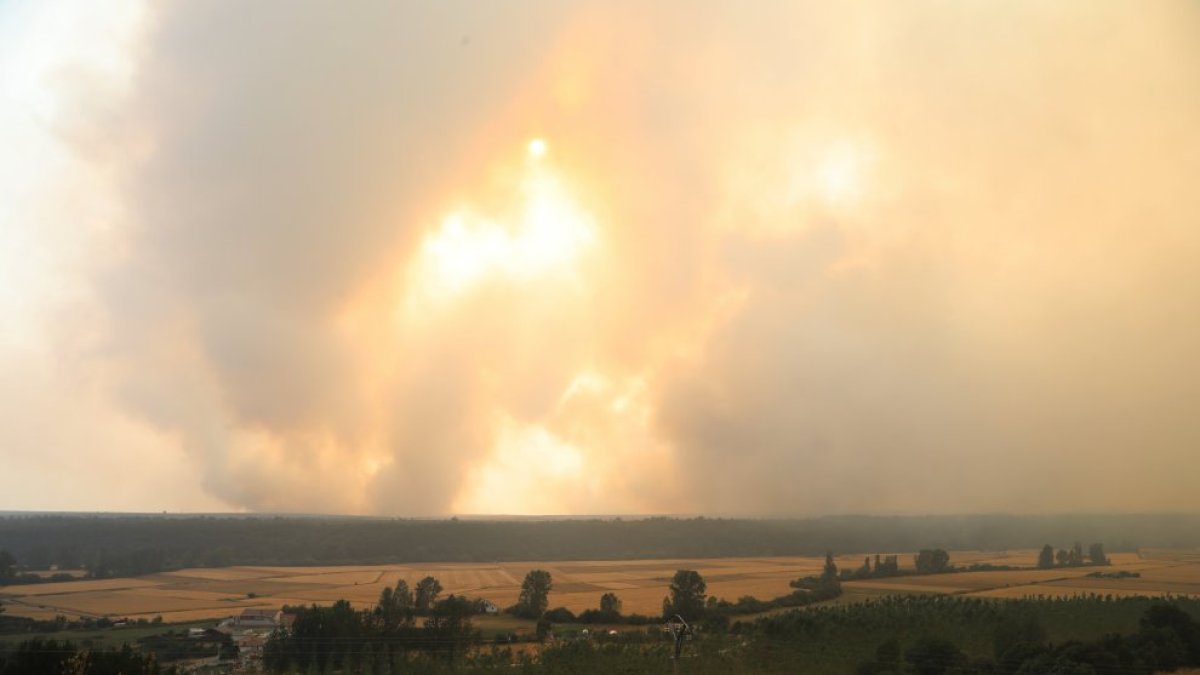Vista del incendio desde Villalba de Guardo (Palencia).