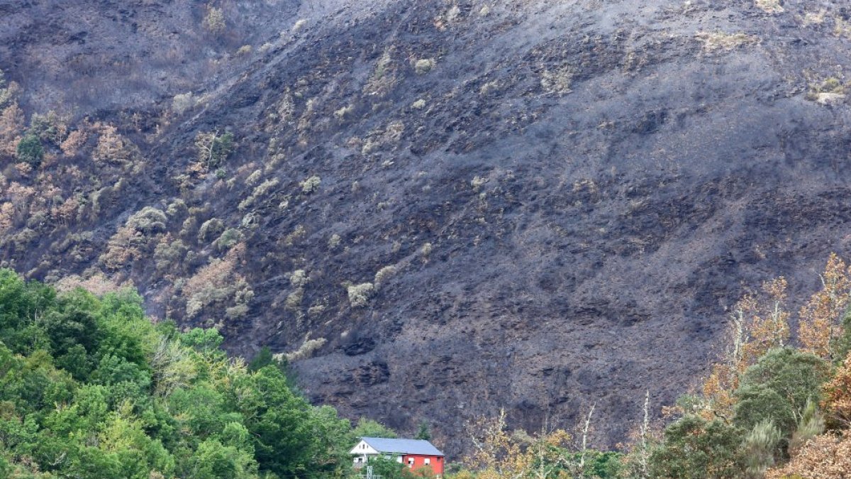 Incendio que ha afectado al municipio de Oencia.