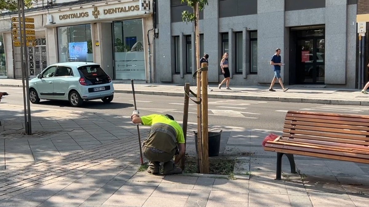 Trabajador del Servicio de Parques y Jardines de Valladolid.