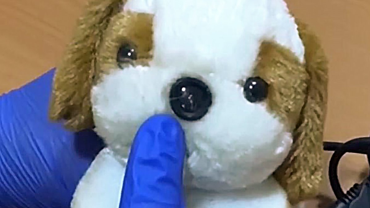 Peluche con un sistema de grabación, en una imagen de archivo