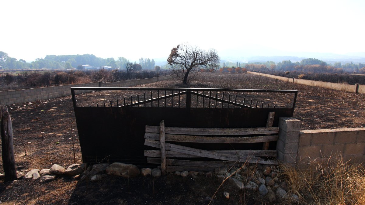 Efectos del incendio de Castropodame (León)