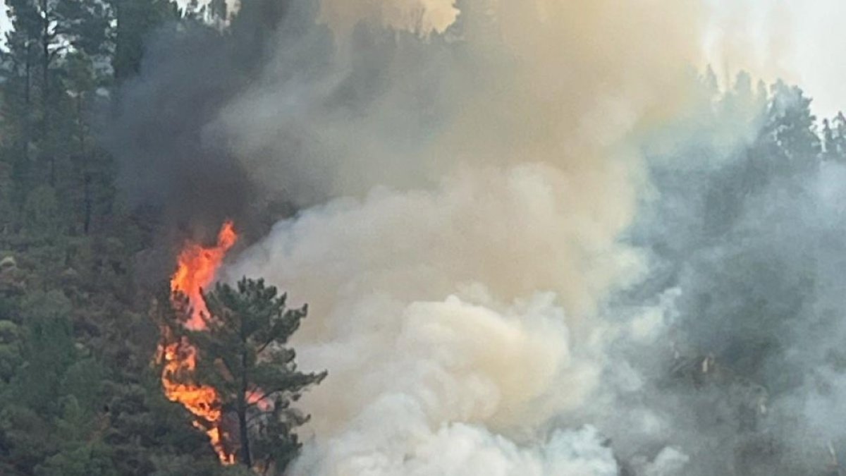 Incendio en A Pobra do Brollón (Lugo).