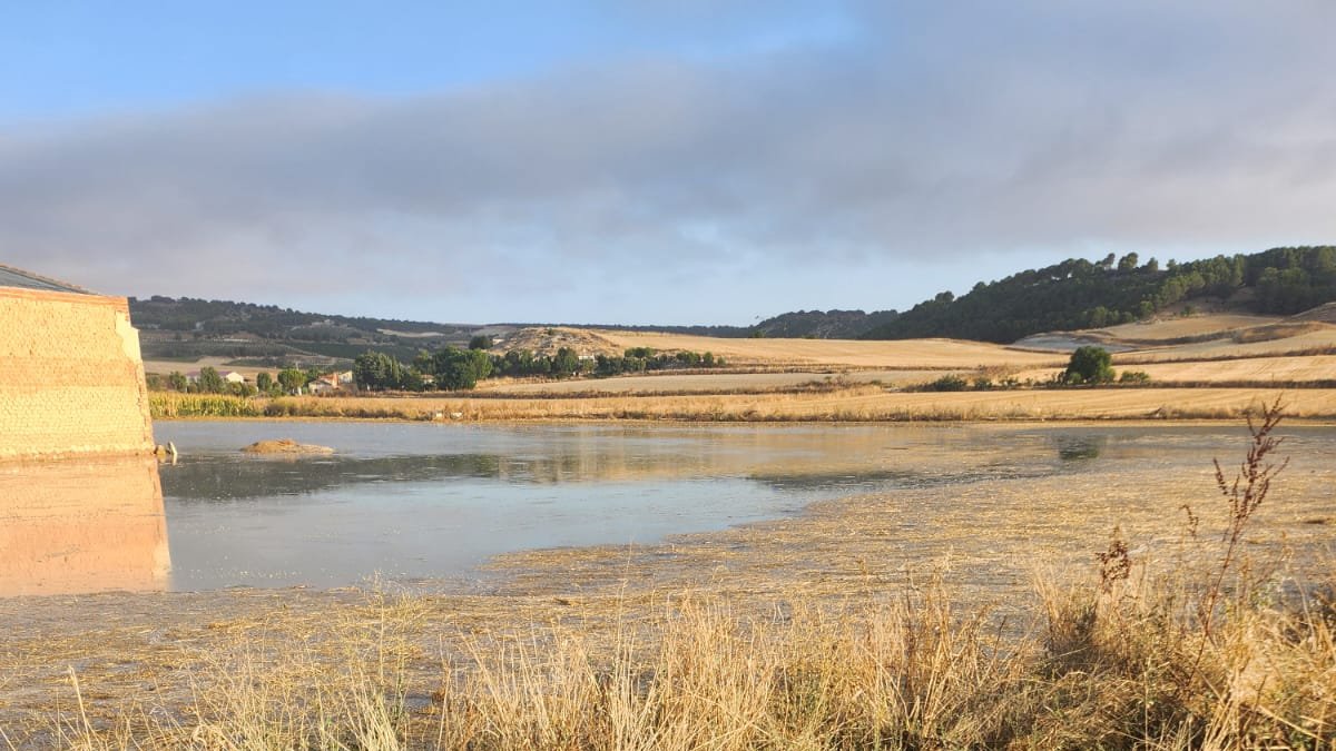 Daños por la rotura de la tubería del canal de Riaza en Valbuena de Duero