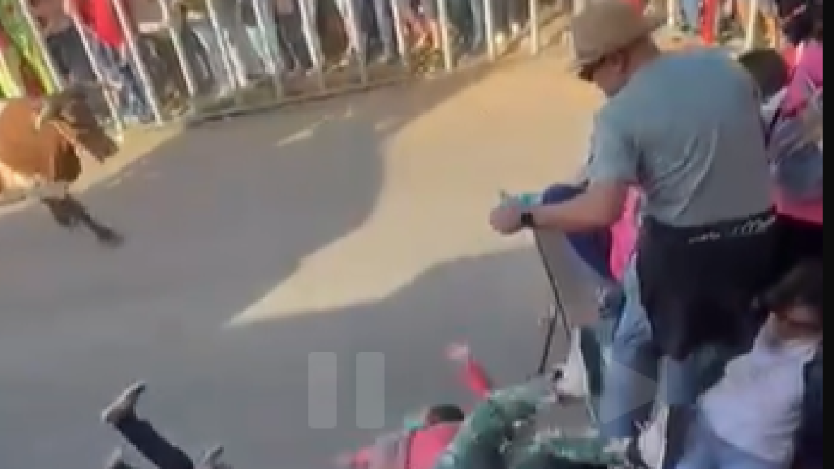 Imagen del momento en el que el toro derriba la escalera de prensa.