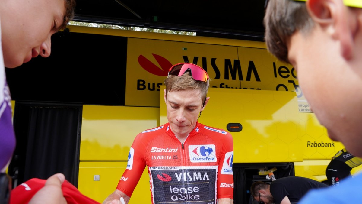 Elvisa Dedic bare pics collections