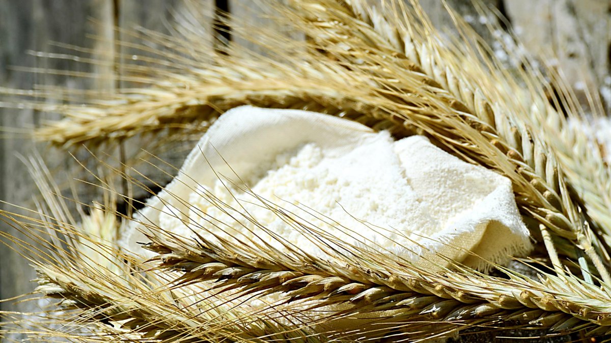 La empresa harinera Alere Vital, de Molinos del Duero, es una de las incluidas en la guía europea