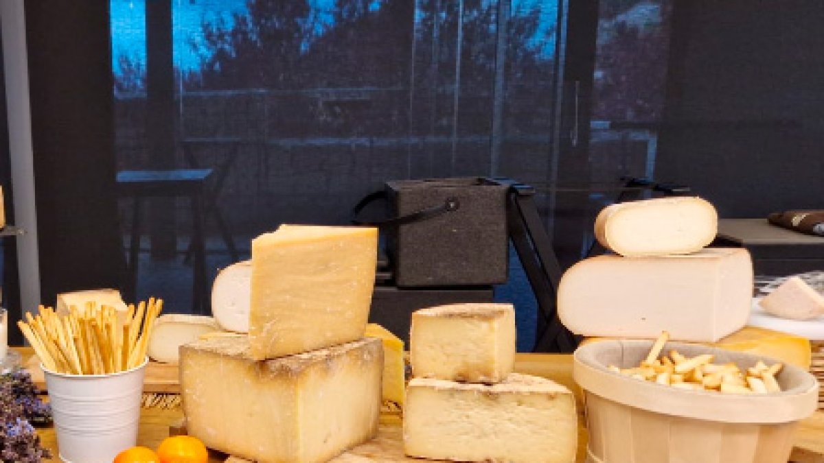 Degustación de queso