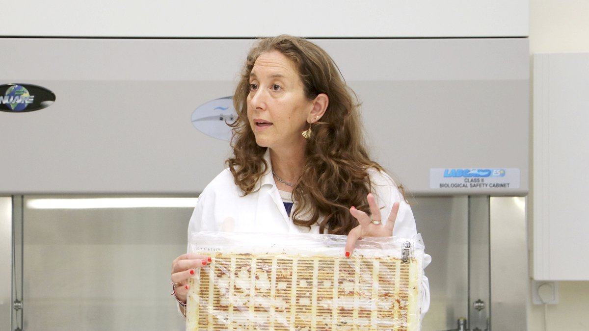 La profesora asociada de la Facultad de Veterinaria e investigadora de la Universidad de León (ULE), Eugenia Rendueles.