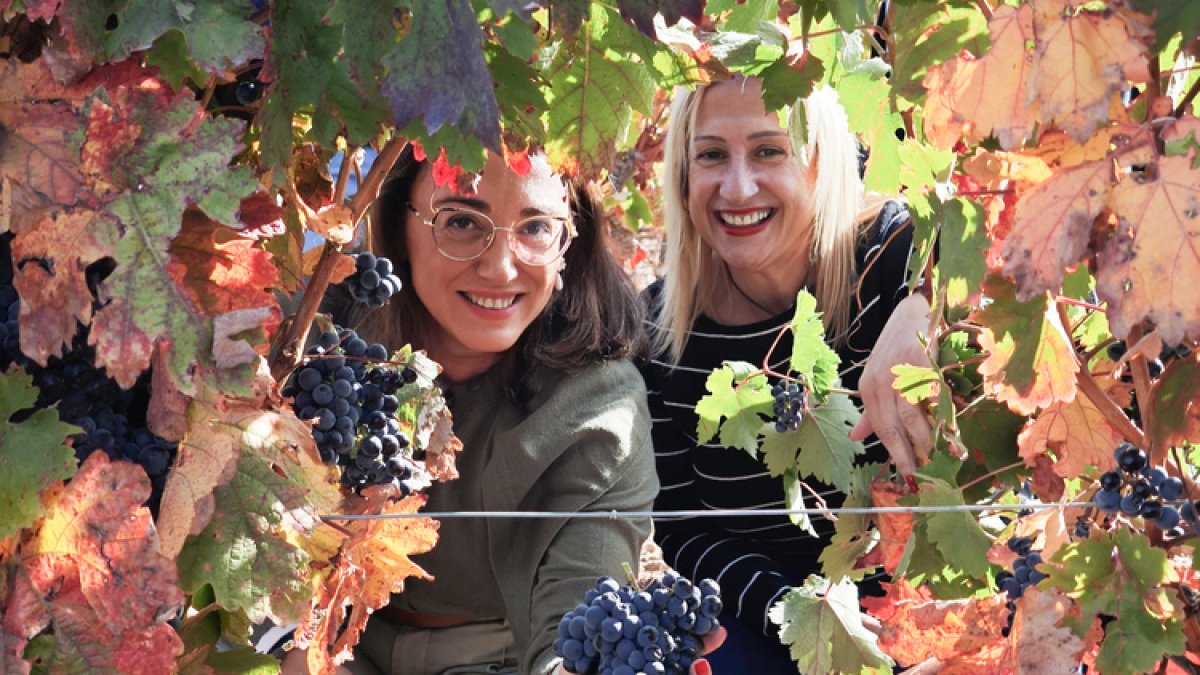 María González Corral, con un racimo de uvas durante la recogida en la bodega Dominio d’Echauz, en Zayas de Báscones de Soria.