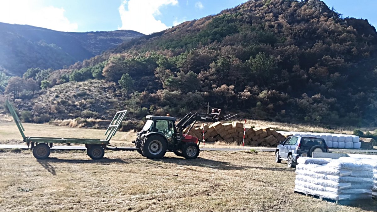 Ganaderos afectados por los incendios de León y Zamora reciben pienso en tacos, paja y forraje para alimentar a sus animales.