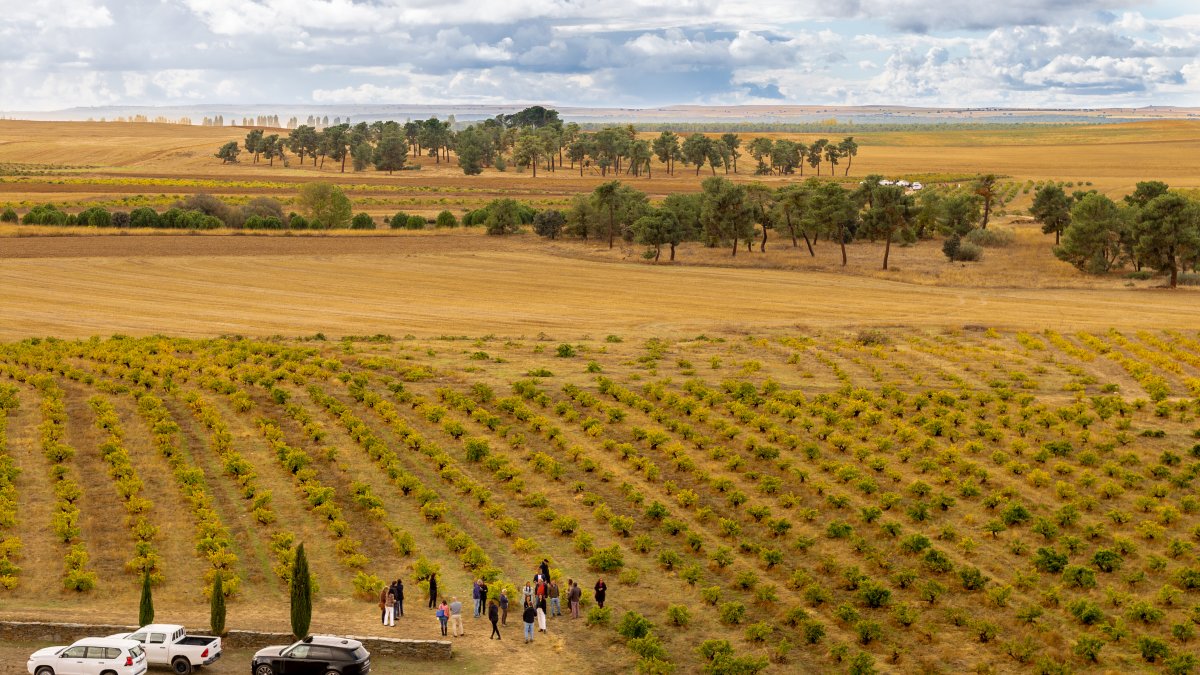 Evento de las nuevas instalaciones de Ossian, de Alma Carraovejas.