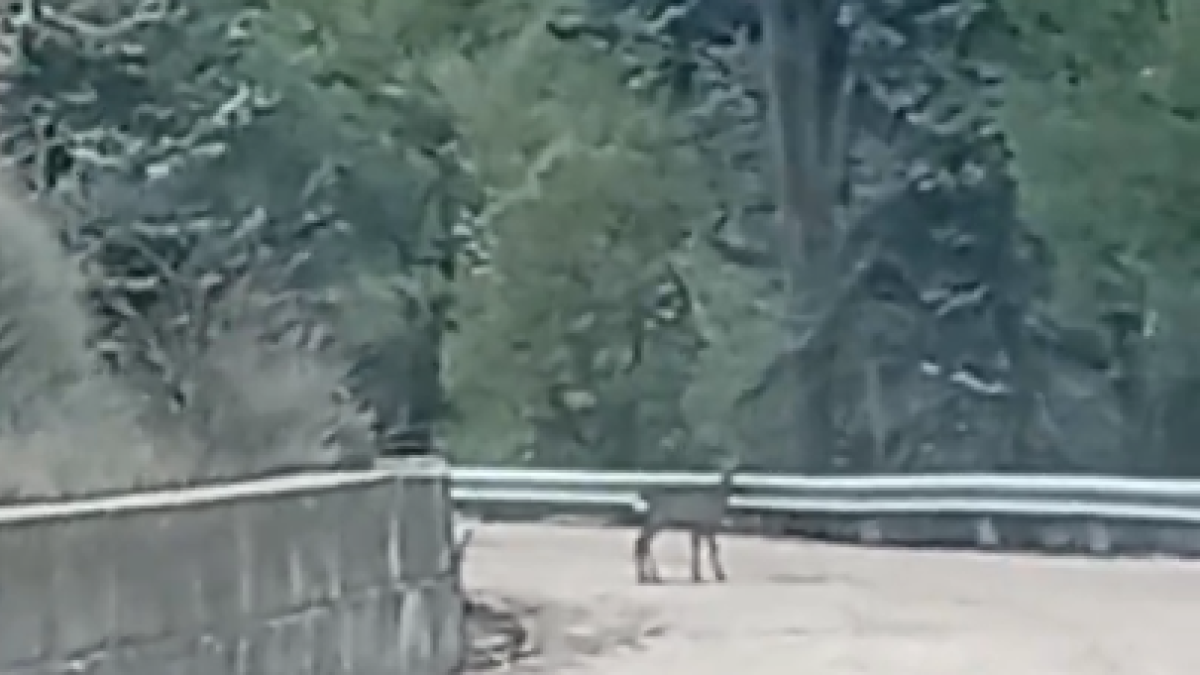 .- CSB en Aldea Pucela