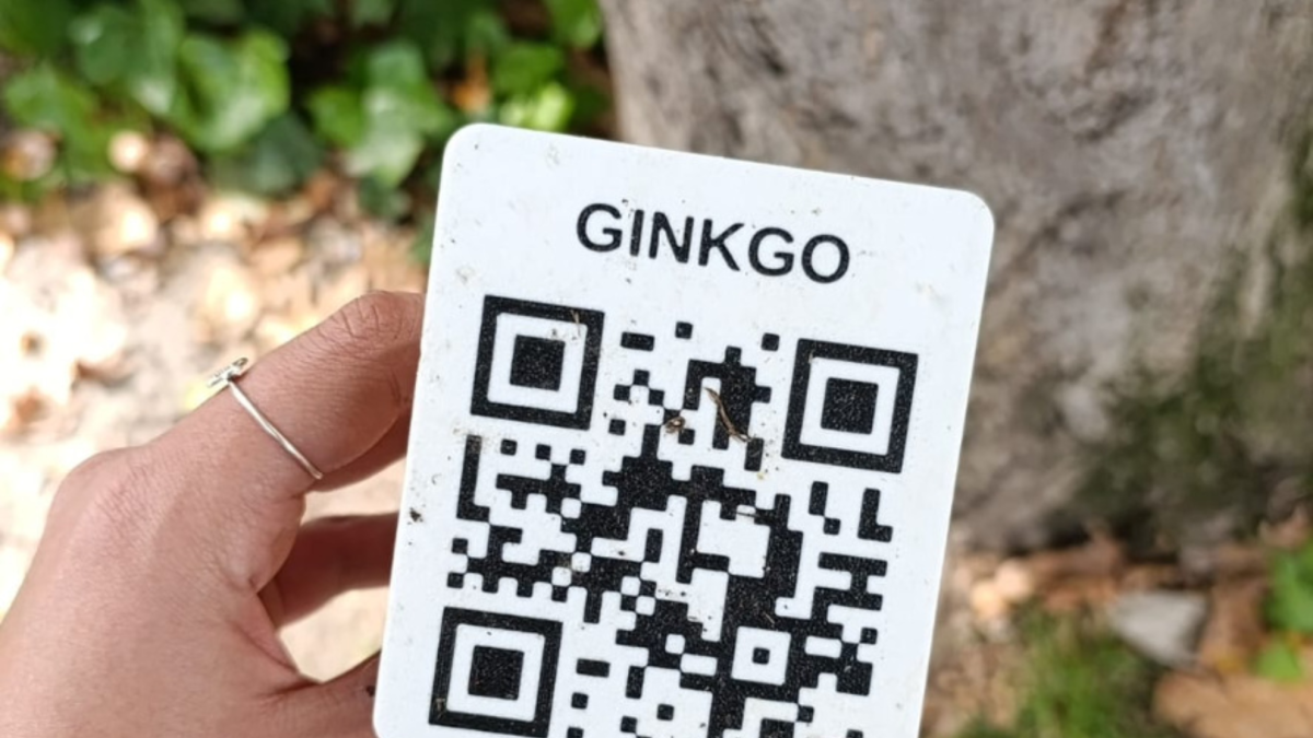 Nuevos códigos QR en el Paseo de Versalles