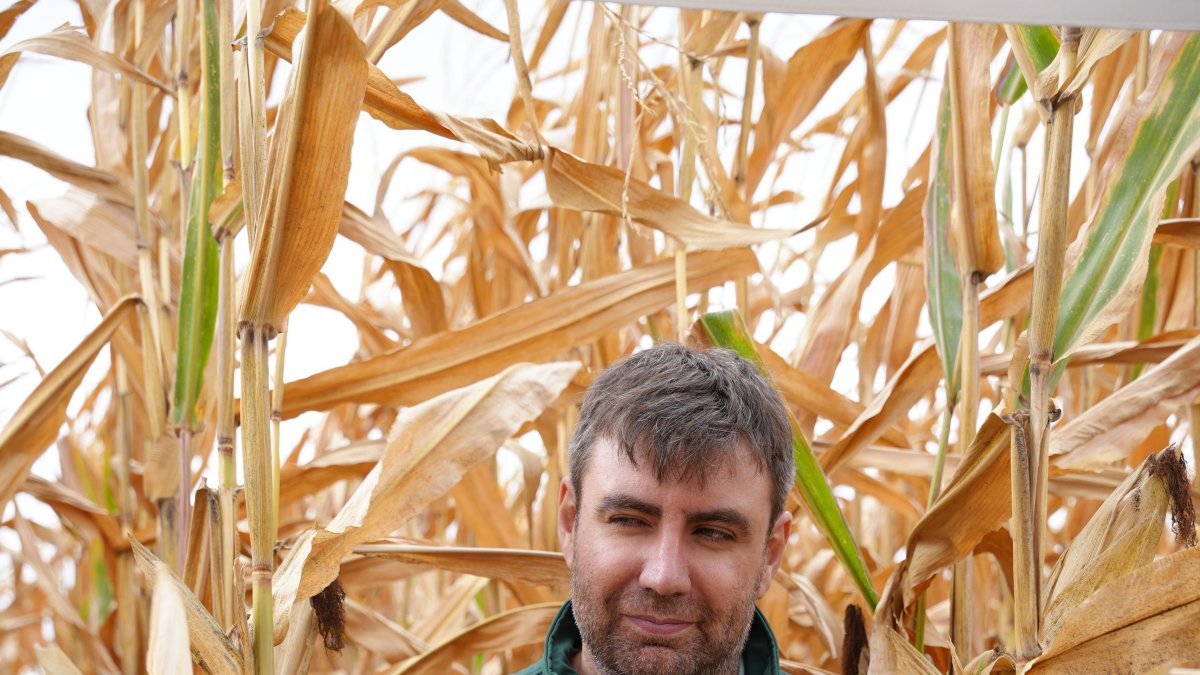 Jorge Miñon, director técnico