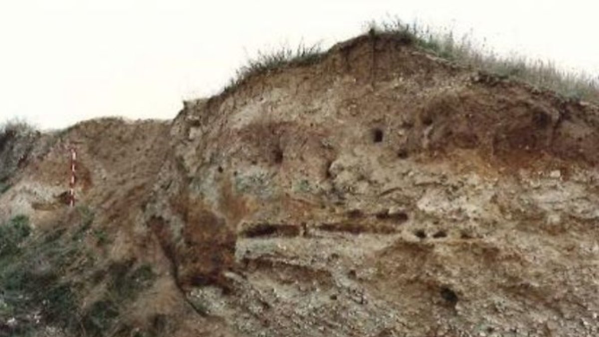 Una imagen del yacimiento