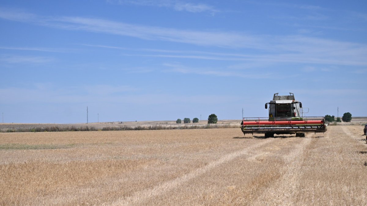 Una cosechadora en una explotación agrícola de la Comunidad