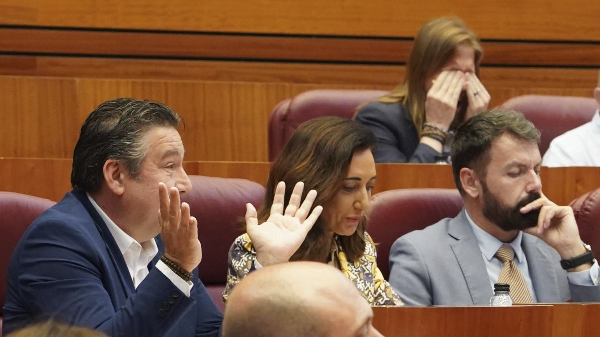 Pleno de las Cortes de Castilla y León