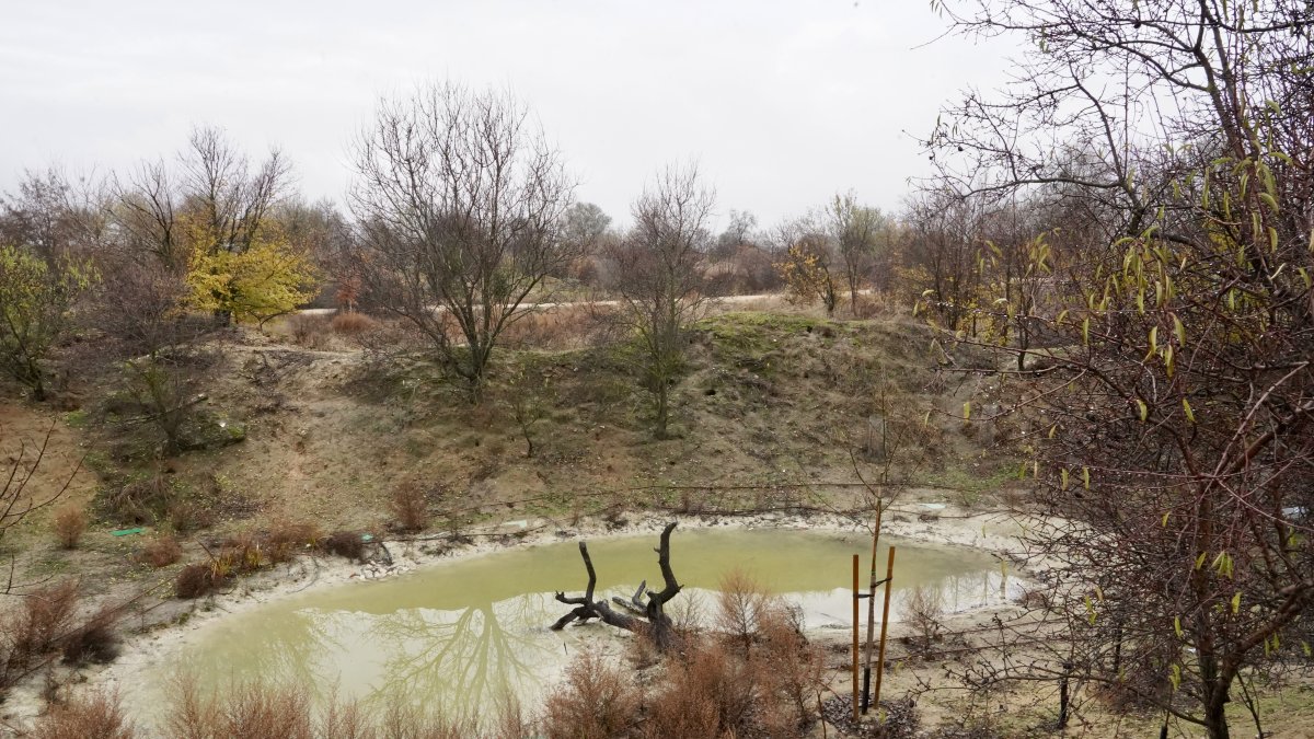 Reserva Biológica Urbana ‘El Tomillo’