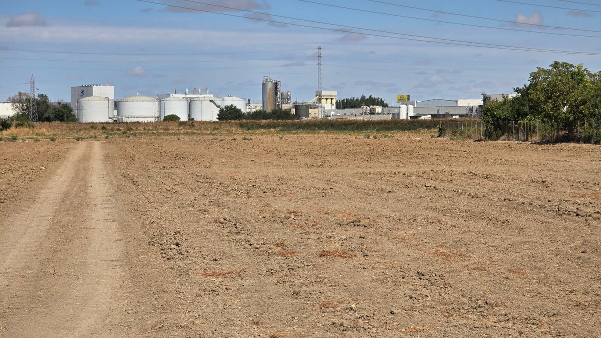 Terrenos del entorno de Palomares, donde se ubicaría la planta de Gotion.