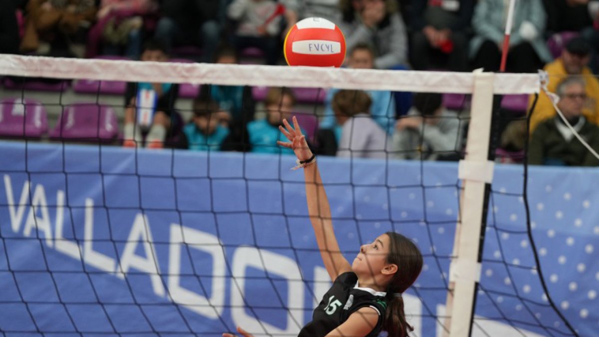 Copa de España de Voleibol en Valladolid.