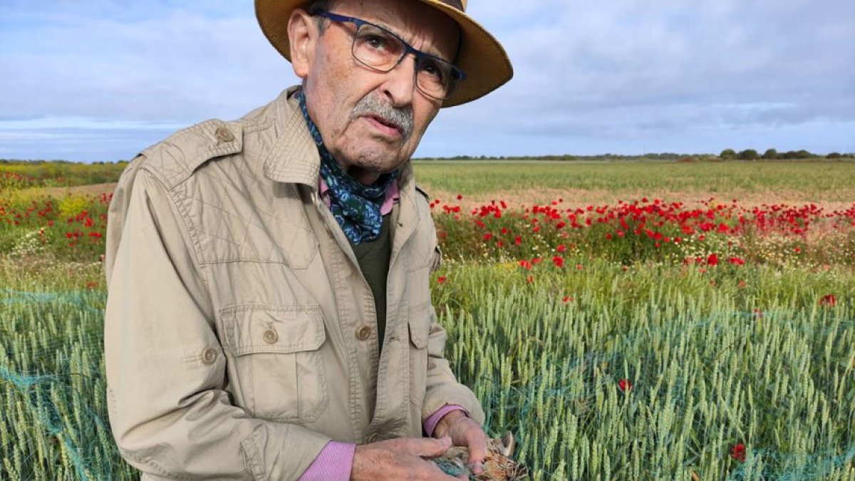 José Luis Garrido.