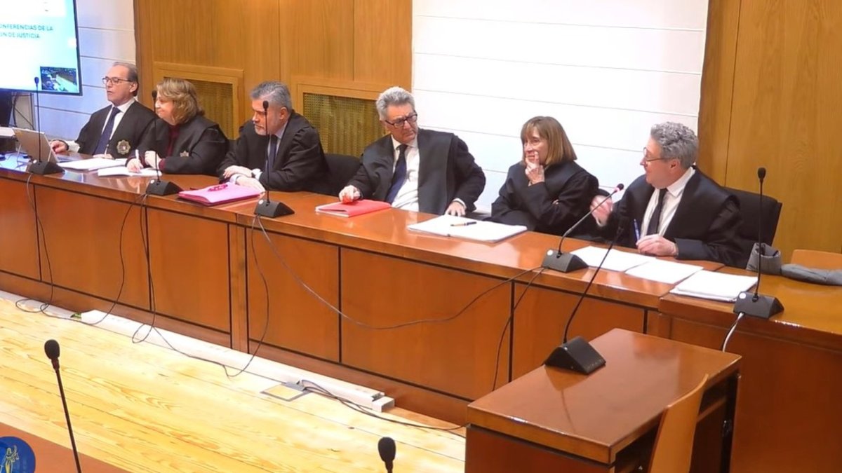 Luis Oviedo, representante de la acusación popular ejercida por Ecologistas, durante su informe este viernes en el juicio por la 'trama eólica'