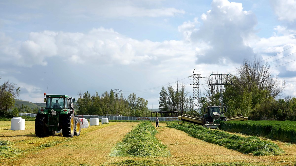 Siega de alfalfa en una explotación agrícola de Tierra de Campos (Valladolid)